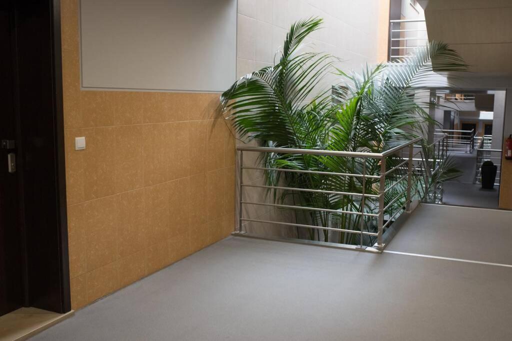 Bay Residence Apartamento - Piscina São Martinho do Porto Kültér fotó
